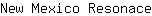 N***e