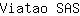 V***S