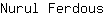 N***s