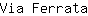 V***a