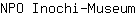 N***m