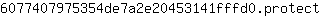 6***t