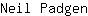 N***n
