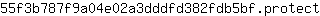 5***t