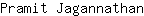 P***n