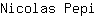 N***i