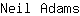 N***s