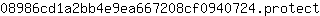 0***t