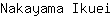 N***i