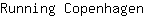 R***n